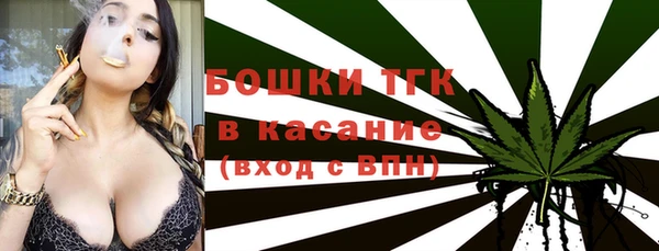 дживик Инта