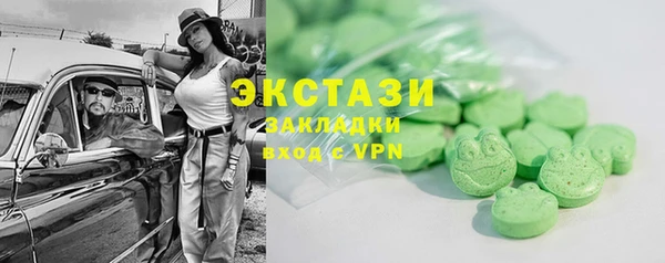 дживик Инта