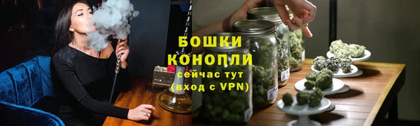 дживик Инта