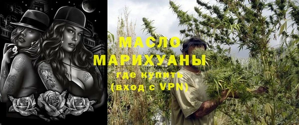 дживик Инта