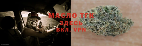 дживик Инта