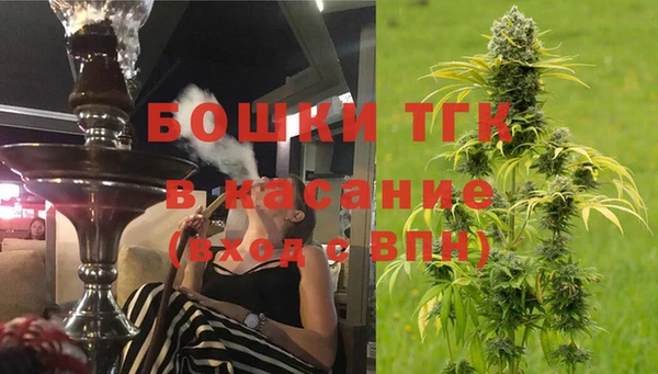 спайс Каменка