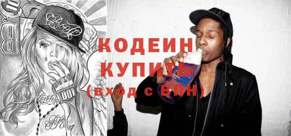 спайс Каменка