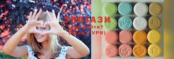 дживик Инта
